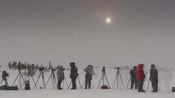 每年都要严阵以待1000多头北极熊的小镇