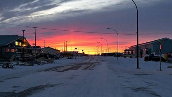 每年都要严阵以待1000多头北极熊的小镇