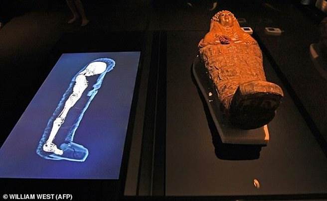 英国首次扫描埃及木乃伊 揭开3000年秘密