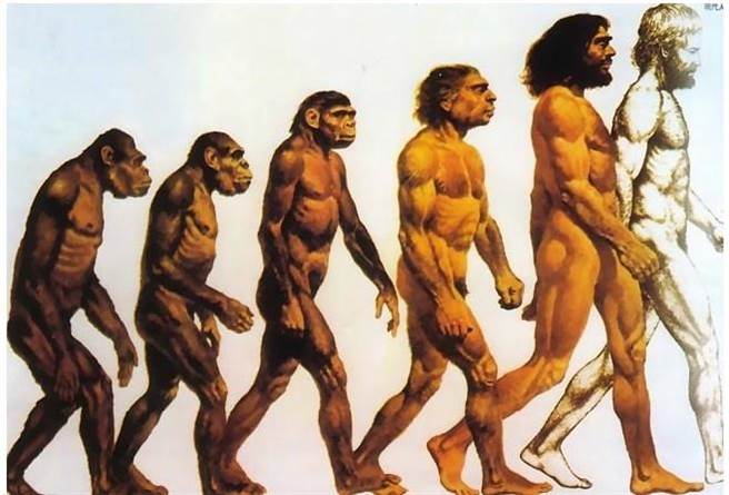 研究人员认为，人类语言能力的进化，需要的是大脑而非声带上的变化。