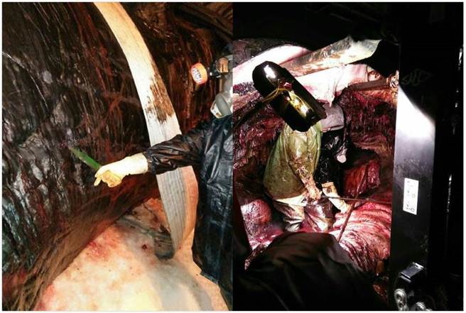 鬼屋算什么？带你探秘鲸鱼肚里的尸山肉海。