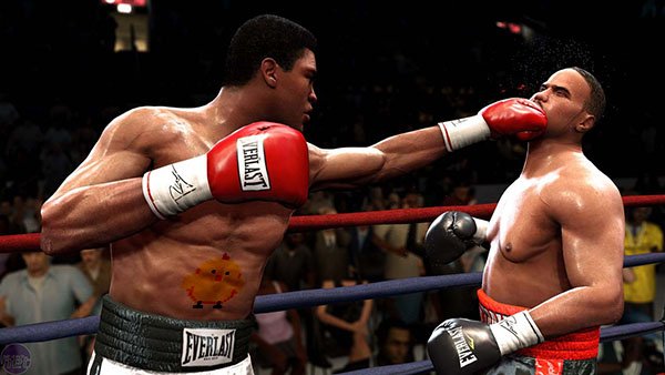 拳击手被K.O.时，大脑都发生了什么？