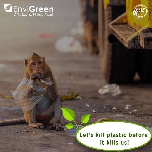 应对塑料污染，一家公司发明了可以吃的“塑料袋”