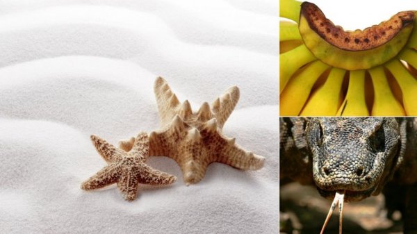 性的存在是为了预防疾病