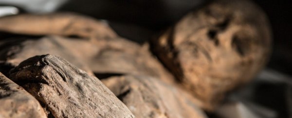 木乃伊揭秘：天花起源时间或许更晚