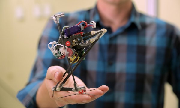 WOW~我们做出了史上最敏捷的跳跃机器人