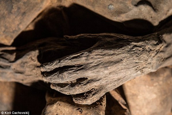 木乃伊揭秘：天花起源时间或许更晚