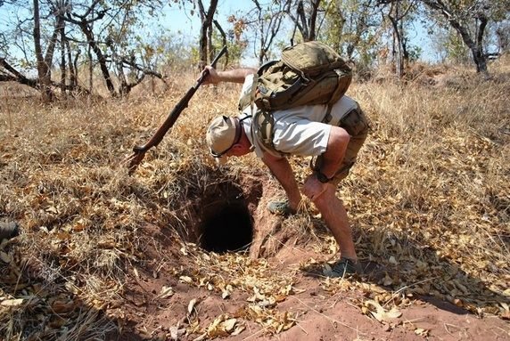 [Quora] 动物门有趣的躲藏方式