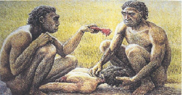 无厘头研究：120万年前的古人类吃什么？