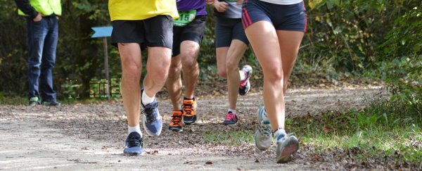 跑步者的脑子，跟音乐人一样灵活