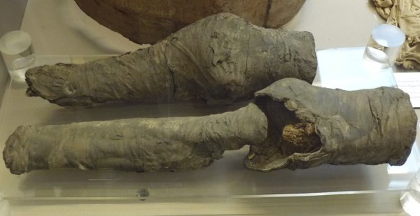 当年的盛世美颜，如今只剩一对膝盖