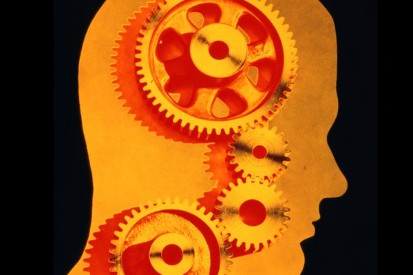 什么是思维的速度