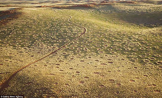 非洲南部纳米比亚的仙女圈(fairy circles)一直是人类在探究的谜团