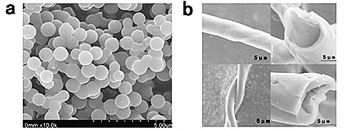 硬碳球形貌 硬碳微管形貌