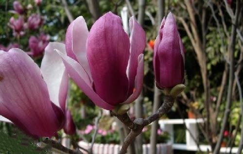 43_140226132920_1 (1)