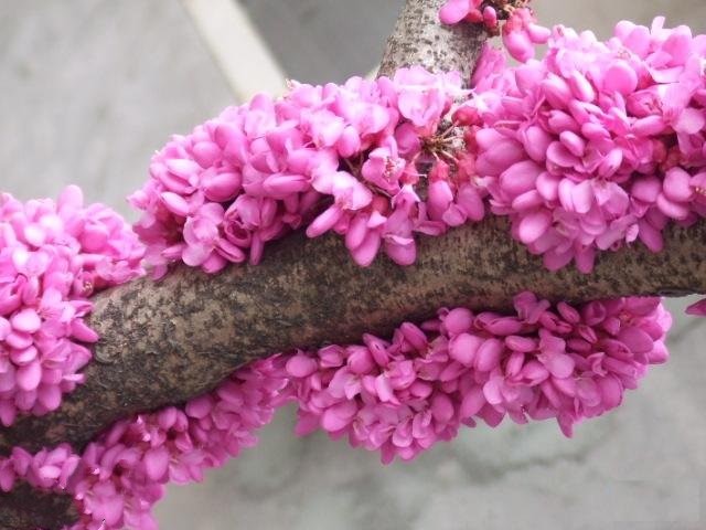 43_140226132934_1 (1)