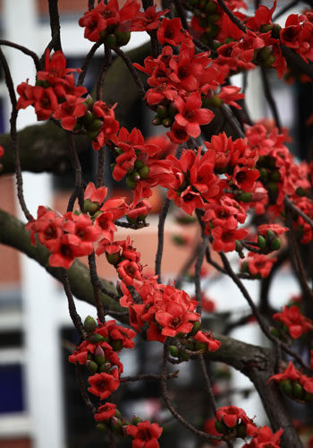 43_140226132947_1 (1)