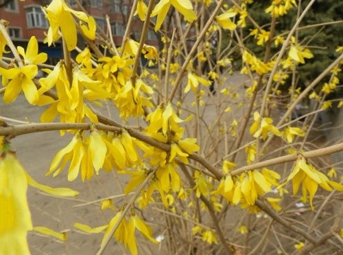 43_140226133000_1 (1)