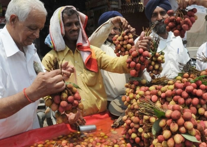 印度有大批民众因空肚食荔枝而丧命。（资料图片）
