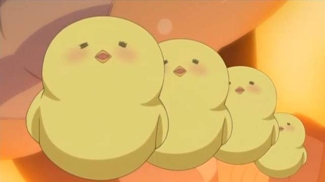 万人守候《小鸡孵化网络直播》无法破蛋而出好伤心…… - 图片1