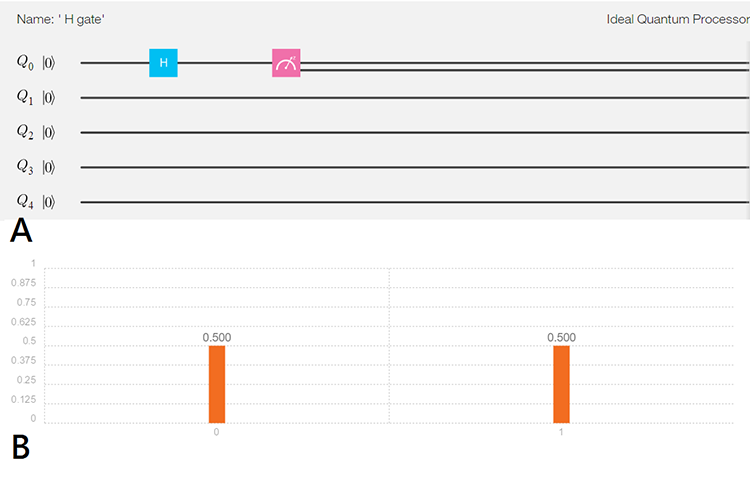 圖三、第一個位元中的0經過H閘之後，變成0和1的疊加。從B中可以看出第一個位元處於0和1的機率都是50%。