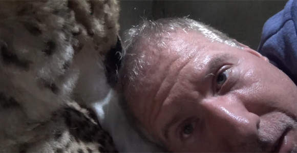 《把猎豹当枕头睡觉》人家是去认真研究大猫的（呼噜噜） - 图片4