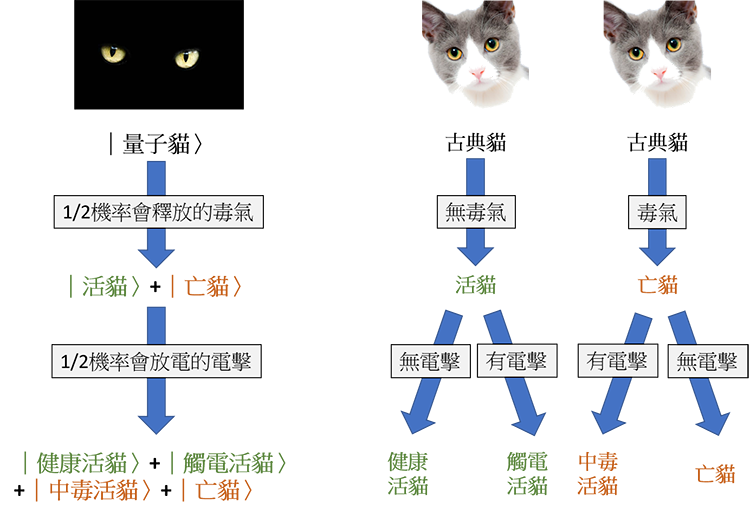 圖一、薛丁格的貓是量子版本的貓。我們用物理學家習慣的符號寫出量子貓的各種狀態。