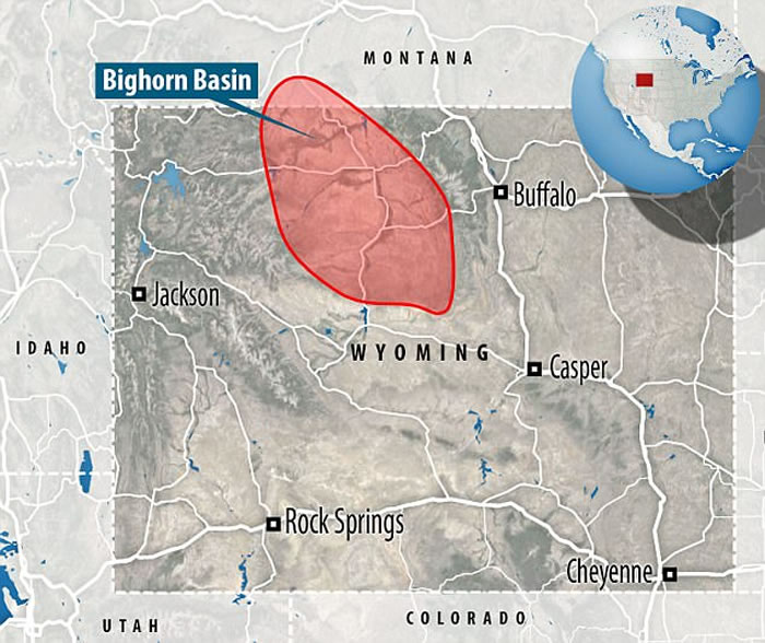5600万年前地球突然升温 始祖马体型随之缩小