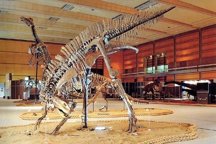 沙俄在中国的最后罪行：盗走中国“第一恐龙”