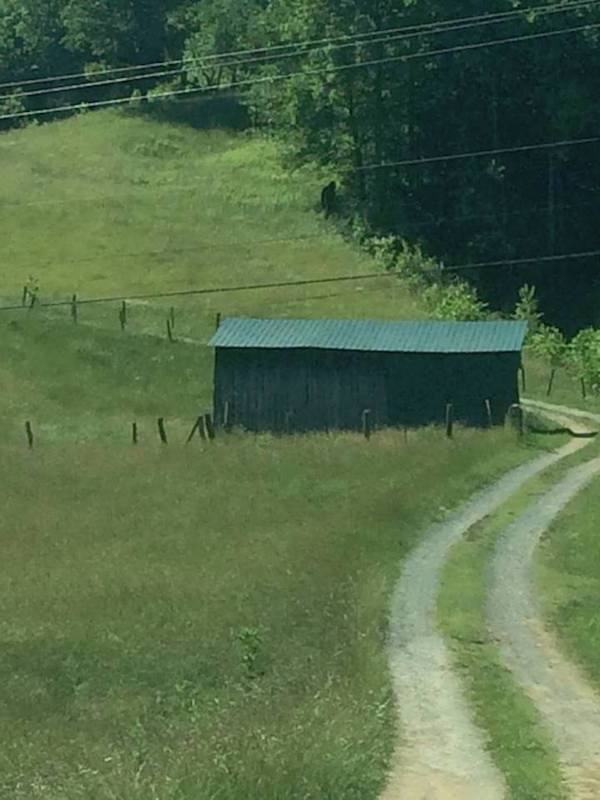 18張讓你困惑到“腦漿從耳朵流出來”的無法解釋照片。#17 會瞬間移動的女子！