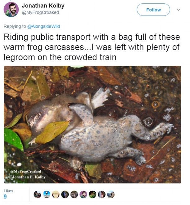 地球上“最臭的东西”有多恶？专家激辩：肛门分泌物从尸体流出(翻摄自推特)