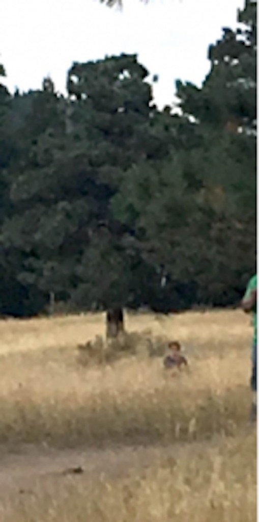 18張讓你困惑到“腦漿從耳朵流出來”的無法解釋照片。#17 會瞬間移動的女子！