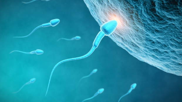 一直以來對精子的認知錯慘了，原來當年我們不是最快精子！