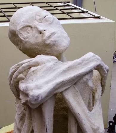 穆森声称发现的：只有3只手指和及脚趾的外星人木乃伊。（图／翻摄自YouTube）