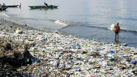 地球已經進入“第6次大滅絕”，人類只剩20年！第5次造成恐龍全滅亡...