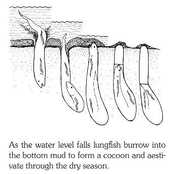 （图／翻摄自网络）