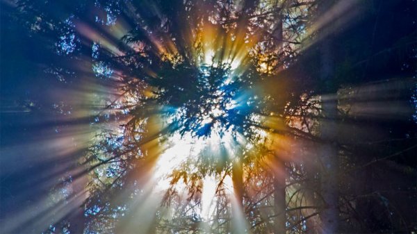 外星球或存在依赖宇宙射线存活的生命